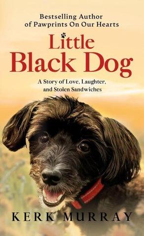Little Black Dog