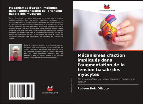 Mécanismes d'action impliqués dans l'augmentation de la tension basale des myocytes