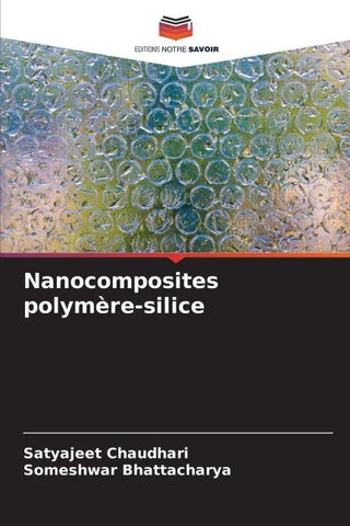 Nanocomposites polymère-silice