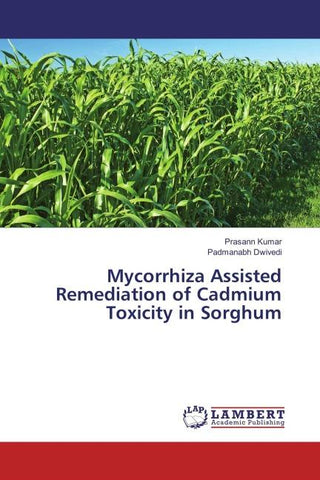 Mycorrhiza Assisted Remediation of Cadmium Toxicity in Sorghum
