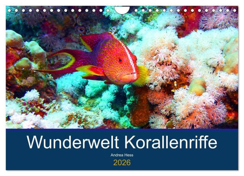 Wunderwelt Korallenriffe (Wandkalender 2026 DIN A4 quer), CALVENDO Monatskalender