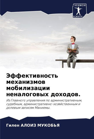 Jeffektiwnost' mehanizmow mobilizacii nenalogowyh dohodow.