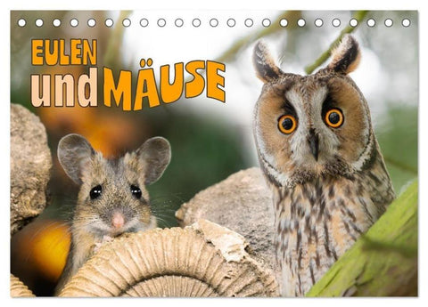 Eulen und Mäuse (Tischkalender 2026 DIN A5 quer), CALVENDO Monatskalender