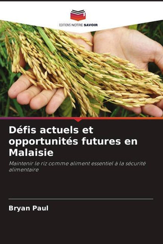 Défis actuels et opportunités futures en Malaisie