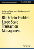 Blockchain-Enabled Large-Scale Transaction Management