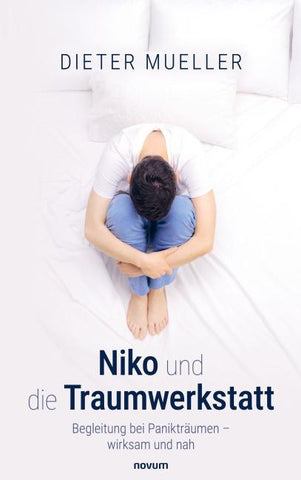Niko und die Traumwerkstatt