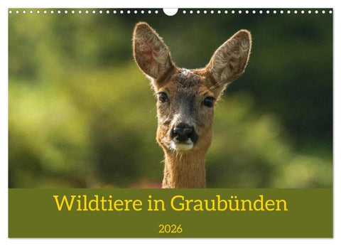 Wildtiere in Graubünden (Wandkalender 2026 DIN A3 quer), CALVENDO Monatskalender