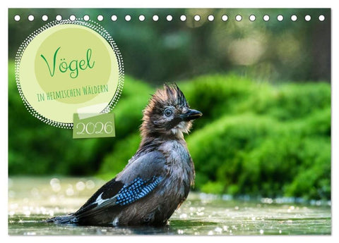 Vögel in heimischen Wäldern (Tischkalender 2026 DIN A5 quer), CALVENDO Monatskalender