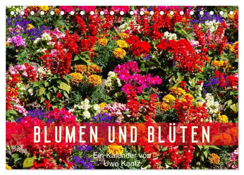 Blumen und Blüten (Tischkalender 2026 DIN A5 quer), CALVENDO Monatskalender