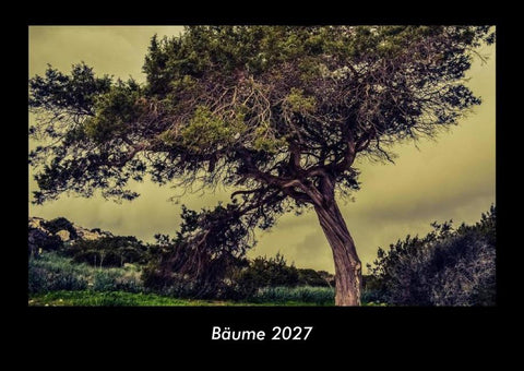 Bäume 2027 Fotokalender DIN A3