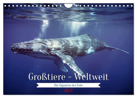 Großtiere - Weltweit (Wandkalender 2027 DIN A4 quer), CALVENDO Monatskalender
