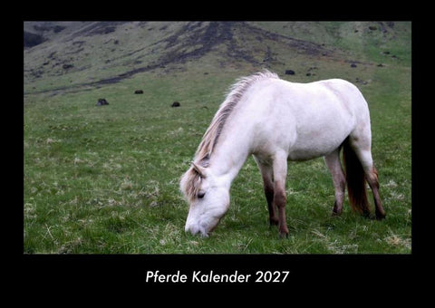 Pferde Kalender 2027 Fotokalender DIN A3