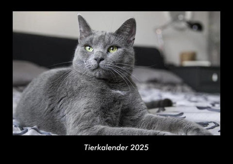 Tierkalender 2025 Fotokalender DIN A3
