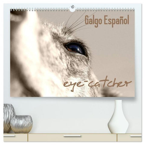 Galgo eye-catcher (hochwertiger Premium Wandkalender 2026 DIN A2 quer), Kunstdruck in Hochglanz