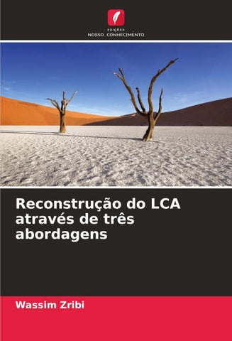 Reconstrução do LCA através de três abordagens