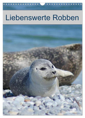 Liebenswerte Robben (Wandkalender 2026 DIN A3 hoch), CALVENDO Monatskalender