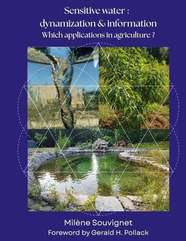 Sensitive water : Dynamization & Information