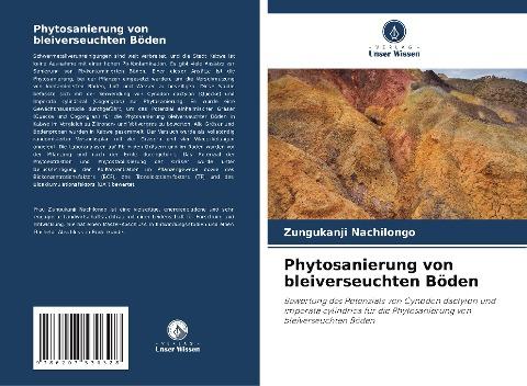 Phytosanierung von bleiverseuchten Böden