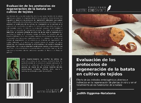 Evaluación de los protocolos de regeneración de la batata en cultivo de tejidos