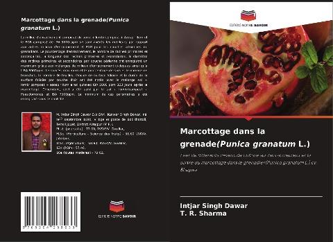 Marcottage dans la grenade(Punica granatum L.)