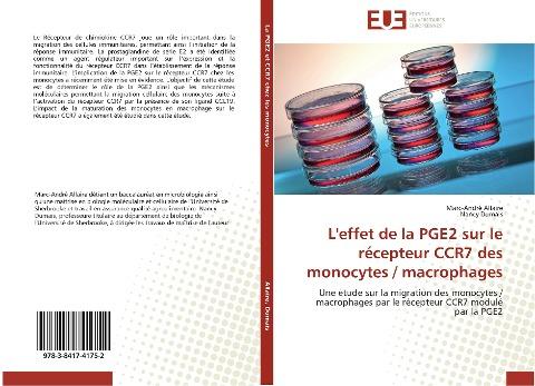 L'effet de la PGE2 sur le récepteur CCR7 des monocytes / macrophages