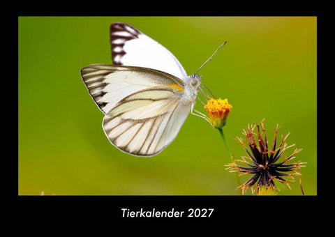 Tierkalender 2027 Fotokalender DIN A3