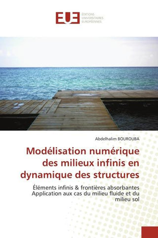Modélisation numérique des milieux infinis en dynamique des structures