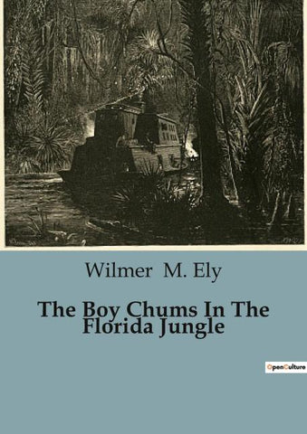 The Boy Chums In The Florida Jungle