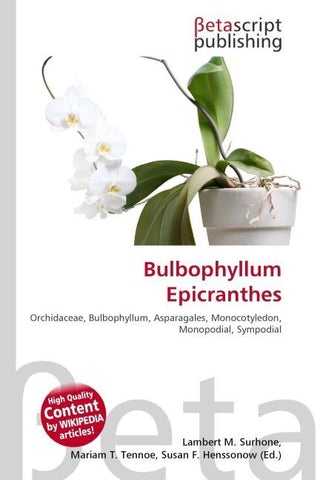 Bulbophyllum Epicranthes