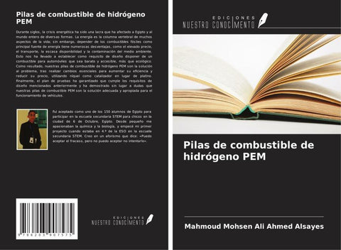 Pilas de combustible de hidrógeno PEM