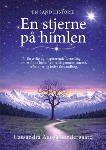 En stjerne på himlen