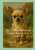 "Die 21 beliebtesten Hunderassen der Welt -