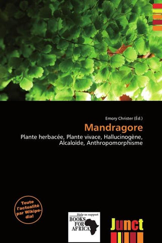 Mandragore