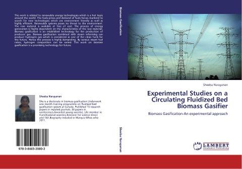 Experimental Studies on a Circulating Fluidized Bed Biomass Gasifier