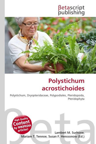 Polystichum acrostichoides