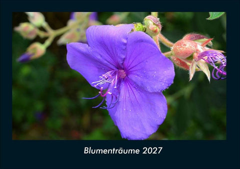 Blumenträume 2027 Fotokalender DIN A4