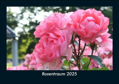 Rosentraum 2025 Fotokalender DIN A5