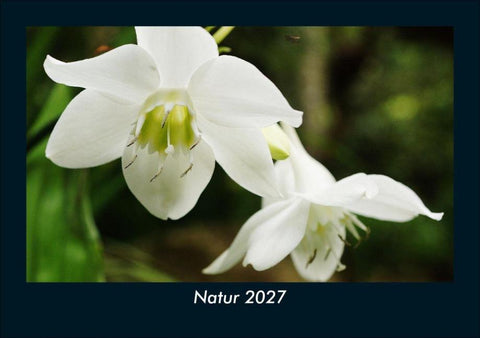 Natur 2027 Fotokalender DIN A5