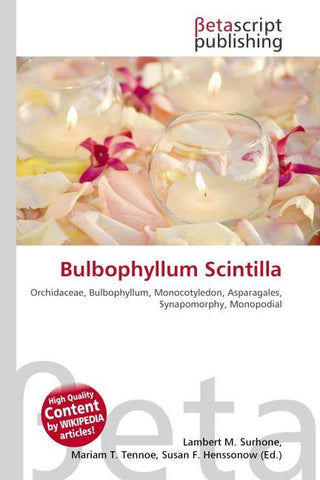 Bulbophyllum Scintilla