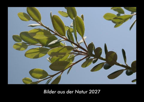 Bilder aus der Natur 2027 Fotokalender DIN A3