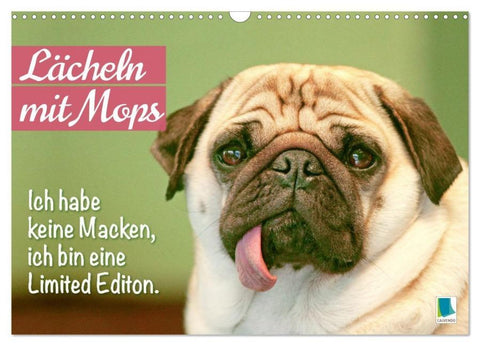 Lächeln mit Mops (Wandkalender 2026 DIN A3 quer), CALVENDO Monatskalender