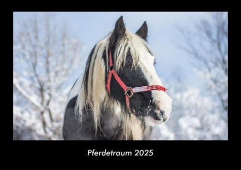 Pferdetraum 2025 Fotokalender DIN A3