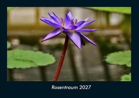 Rosentraum 2027 Fotokalender DIN A4