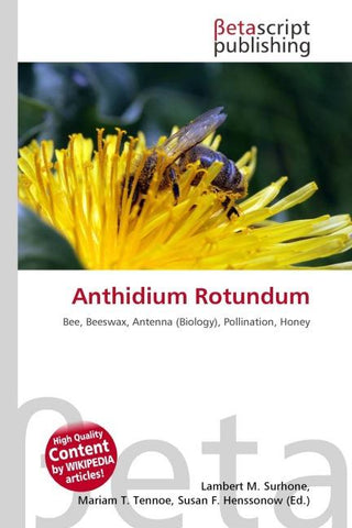 Anthidium Rotundum