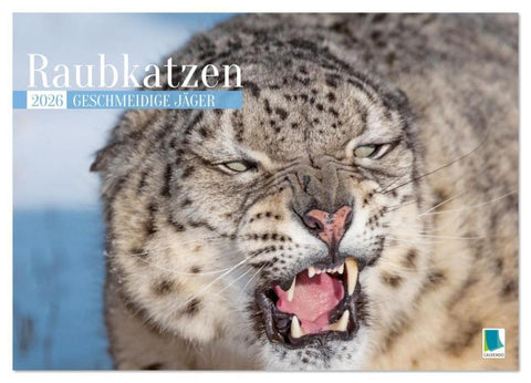 Raubkatzen: Geschmeidige Jäger (Wandkalender 2026 DIN A2 quer), CALVENDO Monatskalender