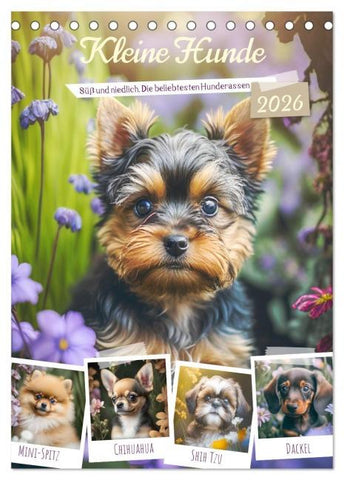 Kleine Hunde. Süß und niedlich. Die beliebtesten Hunderassen (Tischkalender 2026 DIN A5 hoch), CALVENDO Monatskalender