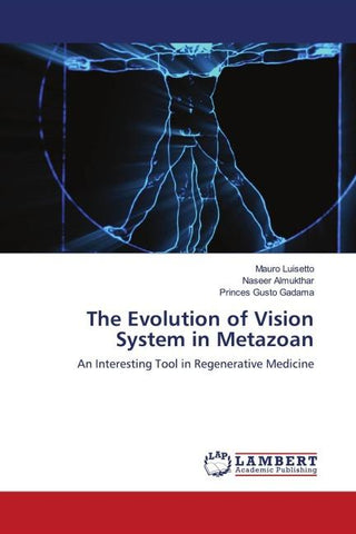 The Evolution of Vision System in Metazoan