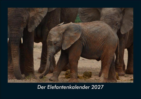 Der Elefantenkalender 2027 Fotokalender DIN A5