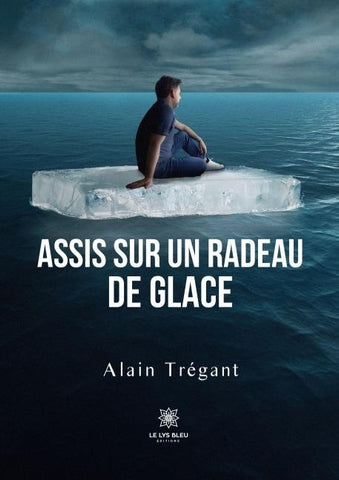 Assis sur un radeau de glace