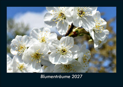 Blumenträume 2027 Fotokalender DIN A5